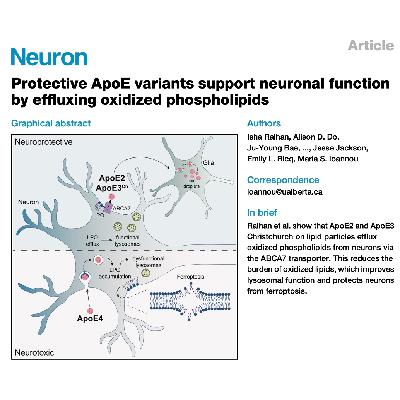 344-ApoE 变体通过 ABCA7 调控神经元脂质代谢