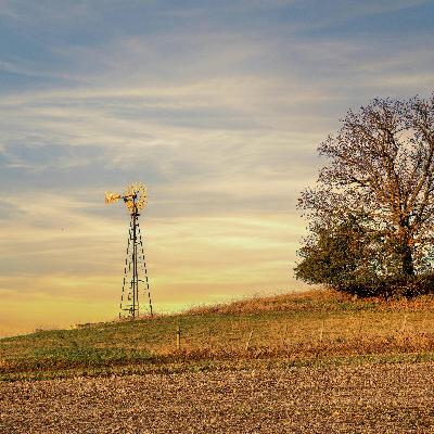 Dry Lawns and High Bills: Efficient Irrigation Tips for Summer