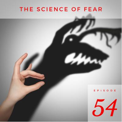Understanding Fear - How Our Brains Work!
