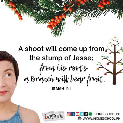 What is a Jesse Tree ?