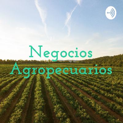EL ULTIMO PROGRAMA DE NEGOCIOS AGROPECUARIOS EN RADIO 620