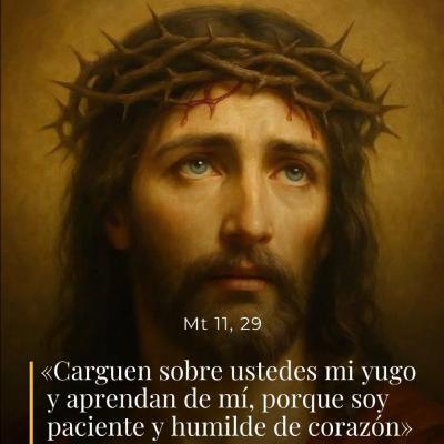 Mateo 11, 28-30 - II Miércoles de Adviento