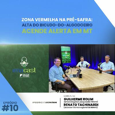 Zona vermelha na pré-safra: alta do bicudo acende alerta em MT | IMAcast #010 Zona vermelha na pré-safra: alta do bicudo acende alerta em MT | IMAcast #010
