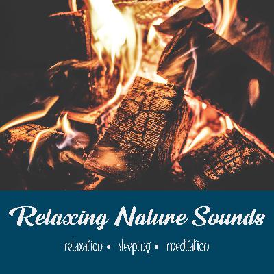 Bon Fire Night | Three Hours Bon Fire Night | Three Hours