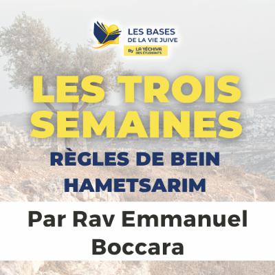 Les trois semaines, règles de Bein Hametsarim (Deuxième édition)