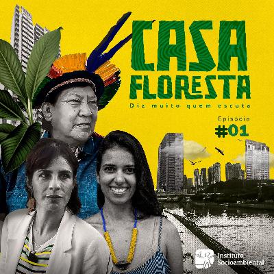 A terra-floresta e a selva de pedra A terra-floresta e a selva de pedra