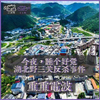 E62.今夜，睡个好觉：湖北野三关反杀事件
