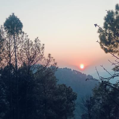 सच्चा भाव