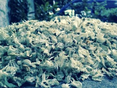 Einer für alle, alle für Einen – Flügelverleihen Einer für alle, alle für Einen – Flügelverleihen