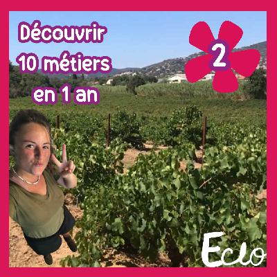 #11 [Série] Découvrir 10 métiers en 1 an | 2/10 : l'univers du vin dans le sud de la France