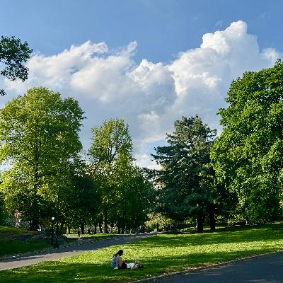22 - 《手机大脑》| 和远古的生存机制做朋友，化压力焦虑为专注力
