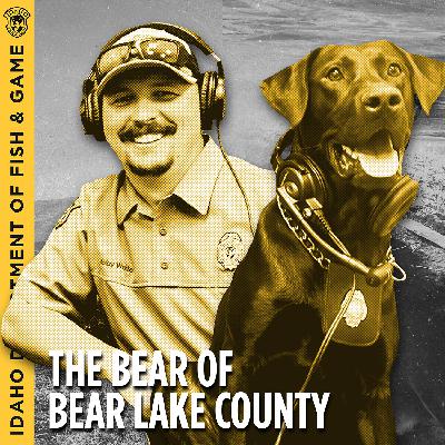 Ep. 10 - The Bear of Bear Lake County