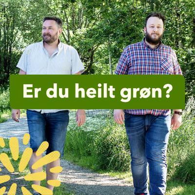 Energitrilemmaet og energipolitikk i praksis