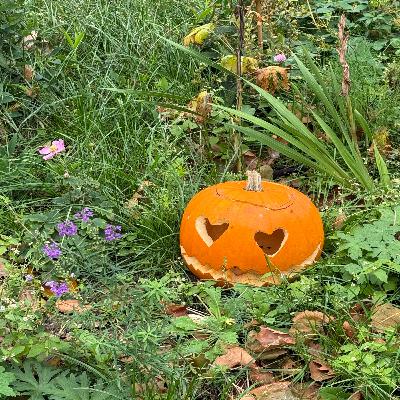 SENSITIVITET OG LIDELSE