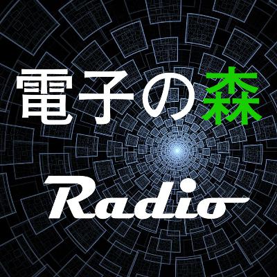 社会人サークルとNT富山の運営 電子の森ラジオ022