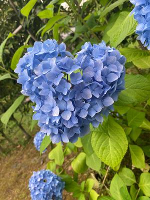 #1 はじめまして　不器用さんです from Radiotalk