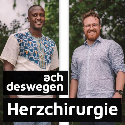 #14 Herzchirurgie - wie repariert man ein Herz?