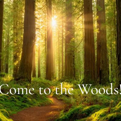 John Muir ~ Come to the Woods! (Video) John Muir ~ Come to the Woods! (Video)