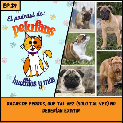 E39| Razas de perros, que tal vez (solo tal vez) no deberían existir