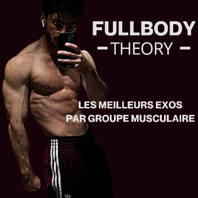 Les Meilleurs Exercices Par Groupe Musculaire - FULLBODY THEORY Les Meilleurs Exercices Par Groupe Musculaire - FULLBODY THEORY