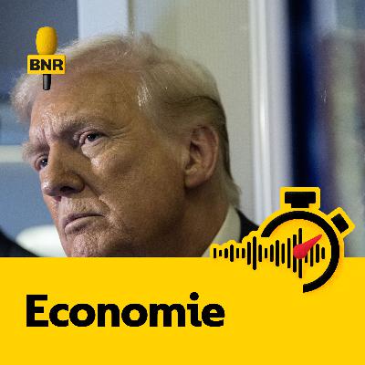 Economen: ‘VS schaadt vooral zichzelf met importheffingen’ Economen: ‘VS schaadt vooral zichzelf met importheffingen’