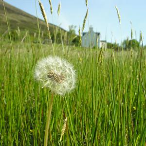 #5  Are You Biologically, Spiritually, Psychologically & Politically Inferior?