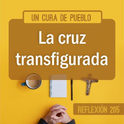 Reflexiones católicas | La cruz transfigurada