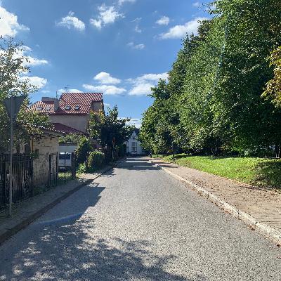 Полюсная улица: от продажи красных кирпичей до покупки красной крови Полюсная улица: от продажи красных кирпичей до покупки красной крови