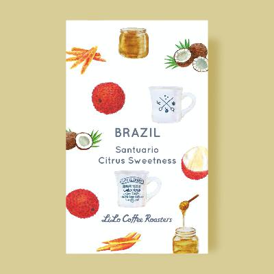 Brazil Santuario Citrus Sweetness Light Roast /ブラジル サトゥアリオ シトラススウィートネス 浅煎り