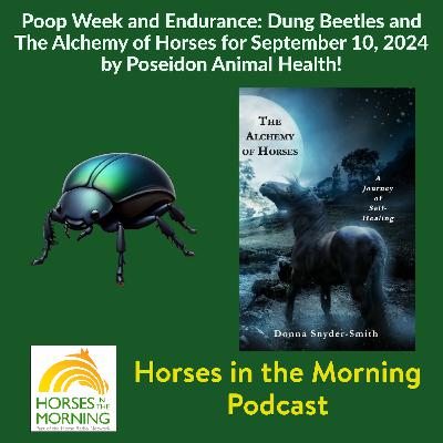 Poop Week and Endurance: Dung Beetles and The Alchemy of Horses for September 10, 2024 by Poseidon Animal Health - HORSES IN THE MORNING