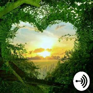 The Light Within You The Light Within You