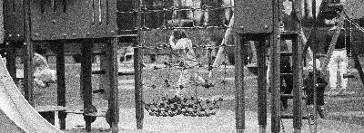 Smartfon to trucizna