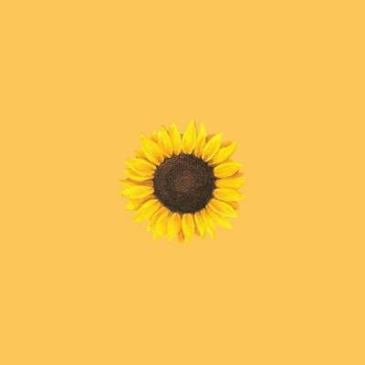 Introducing: THE SUNFLOWER HOUR
