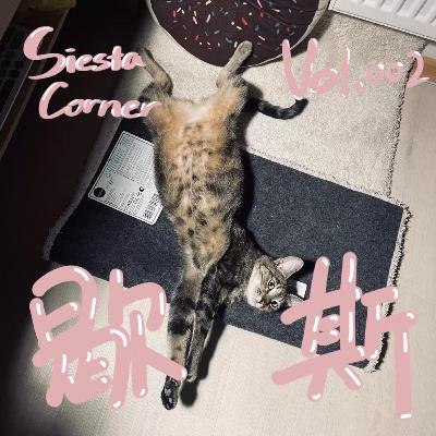 Vol.002 猫的故事:我有一只猫叫烟头。 Vol.002 猫的故事:我有一只猫叫烟头。