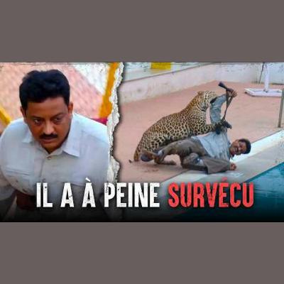 Histoires incroyables de survie face à un léopard !