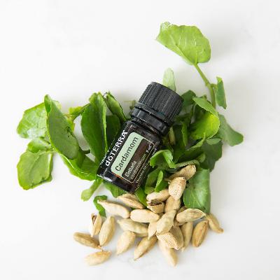 Cardamomo olio essenziale dōTERRA