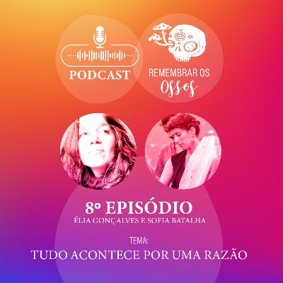 EP.8 - Tudo acontece por uma razão EP.8 - Tudo acontece por uma razão
