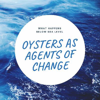 What Happens Below Sea Level: Oysters As Agents of Change | Sarah Matheson Harris & Catie Frech