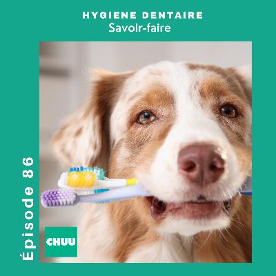 Évitez les maladies dentaires chez les chiens : Le Dr Hennet partage des conseils sur l'hygiène dentaire préventive