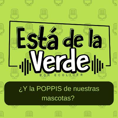 Hablando de desechos con @Poopismascota Hablando de desechos con @Poopismascota