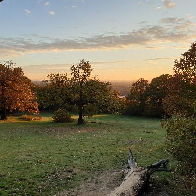 Self-Awareness and Emotional Intelligence