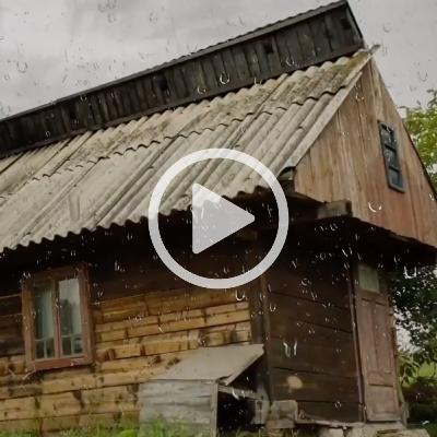 Rain Sounds on a Tin Roof with Thunder (1-hour video)