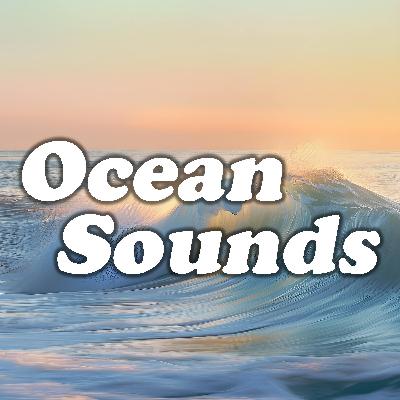 Bayside Calm: Relaxing Wave Sounds