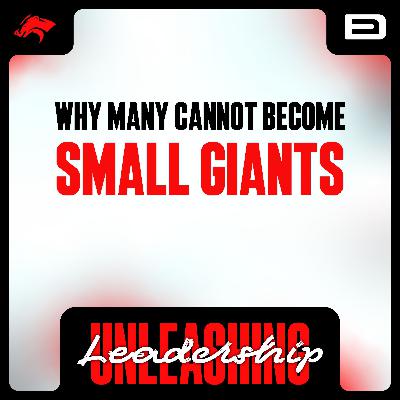 Why Many Cannot Become Small Giants - S8 E51