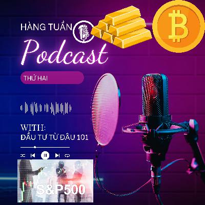 Bitcoin Chạm Đỉnh! Đã Tới Lúc Bán Ra Hay Mua Thêm?