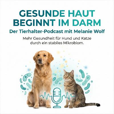 Darmtherapie: Was wirklich hilft – und was schadet