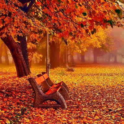 Il weekend dal 21 al 23 e dal 28 al 30 Novembre 2025