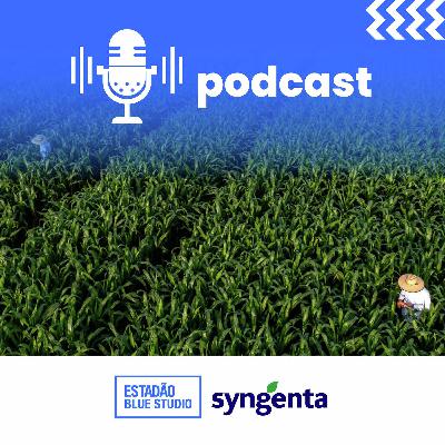 CONTEÚDO PATROCINADO: Syngenta impulsiona o futuro da agricultura tropical com o apoio da ciência