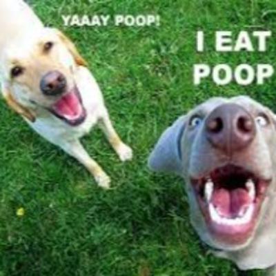 Wait. You Can Eat That?