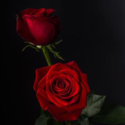 Cada día con Dios ❤️